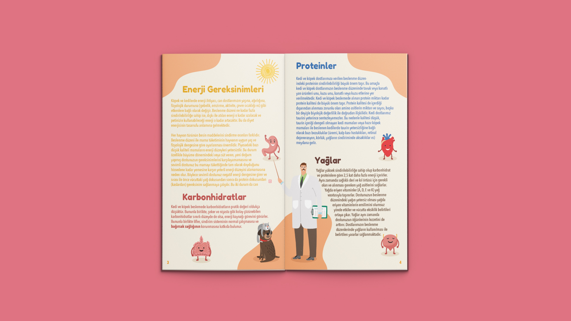 Lider Pet Food 10. Yıl